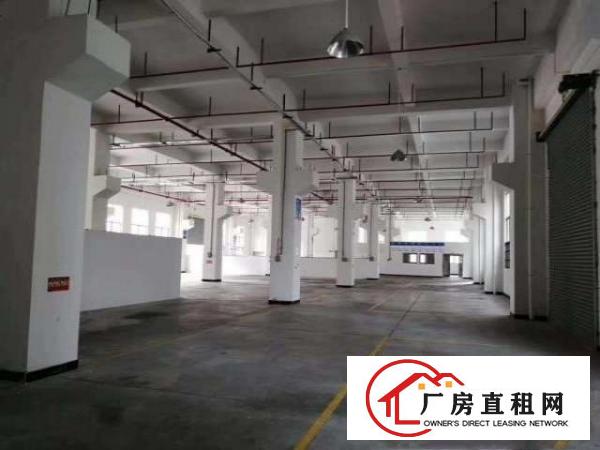  标准工业厂房一楼7米高带牛角，可装行车，做阁楼