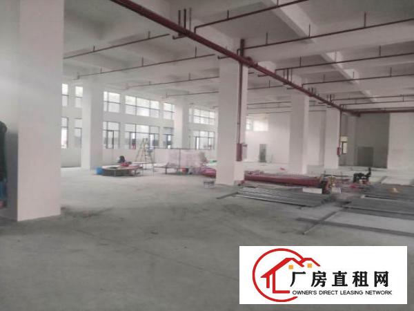  桥头镇桥头城区桥东路90号盛凯科创中心厂房综合楼出租
