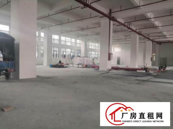  桥头镇桥头城区桥东路90号盛凯科创中心厂房综合楼出租