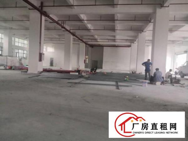  桥头镇桥头城区桥东路90号盛凯科创中心厂房综合楼出租