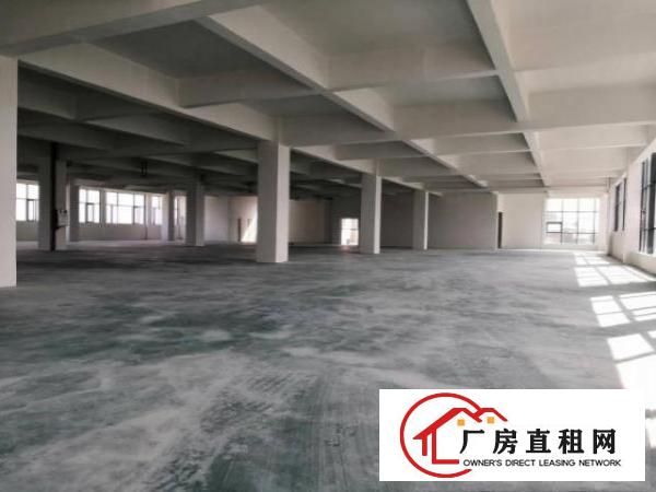  桥头镇桥头城区桥东路90号盛凯科创中心厂房综合楼出租