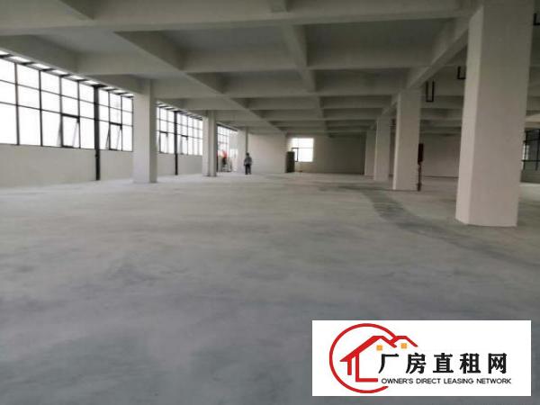  桥头镇桥头城区桥东路90号盛凯科创中心厂房综合楼出租