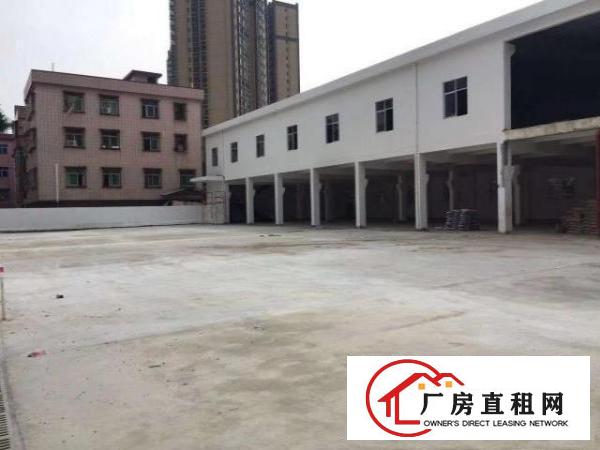  原房东独门独院一比一超大空地，可做任何行业