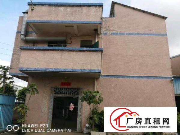  独门独院单一层原房东