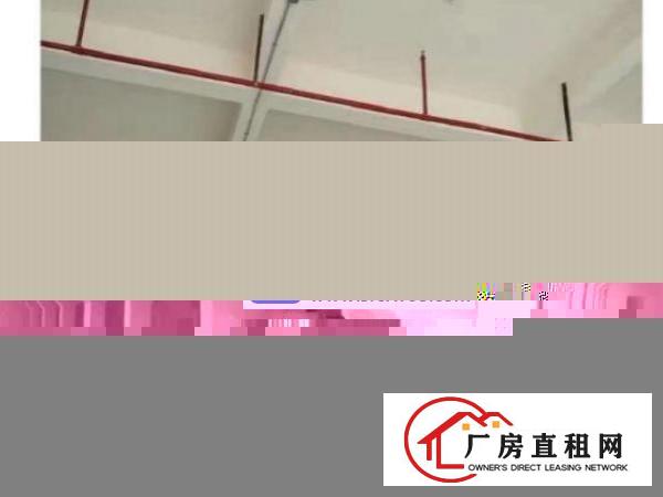  桥头镇全新大型工业园厂房招租！