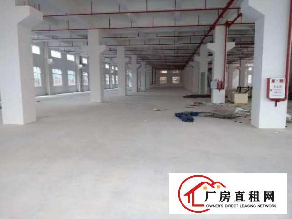  出租原房东全新独门独院18000平方形象好