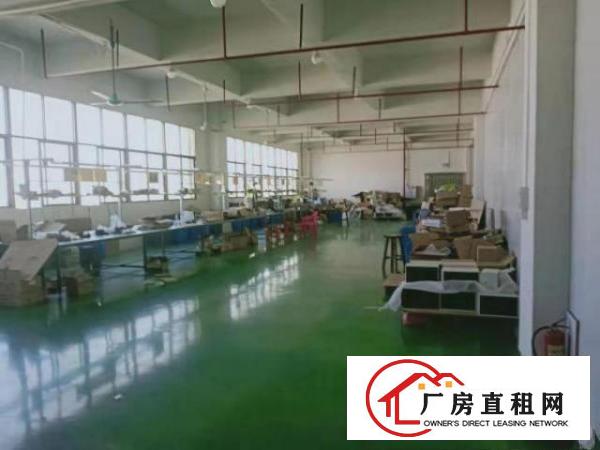  原房东全新标准独门独院出租