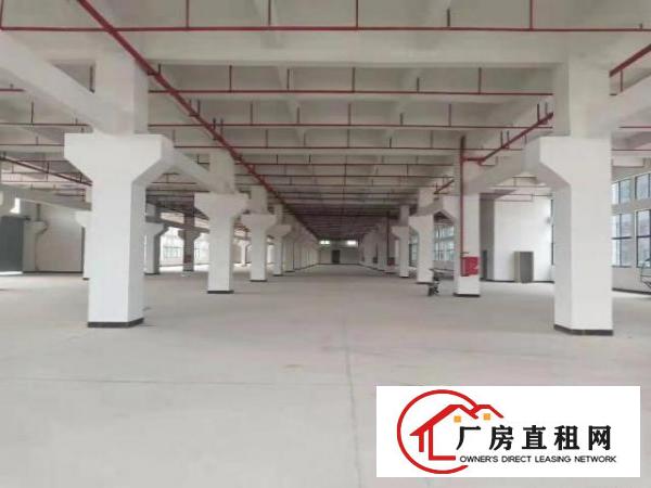  原房东全新标准独门独院出租