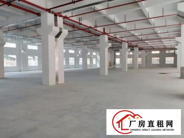  原房东全新标准独门独院出租