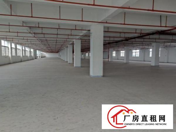  原房东全新标准独门独院出租