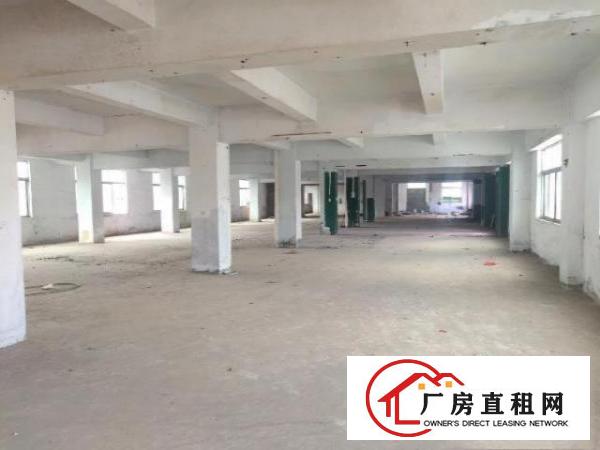  标准独门独院厂房共三层