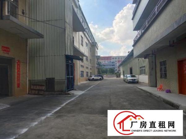  标准独门独院厂房共三层
