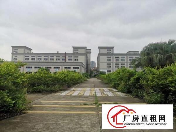  桥头镇新出原房东独院标准厂房出租