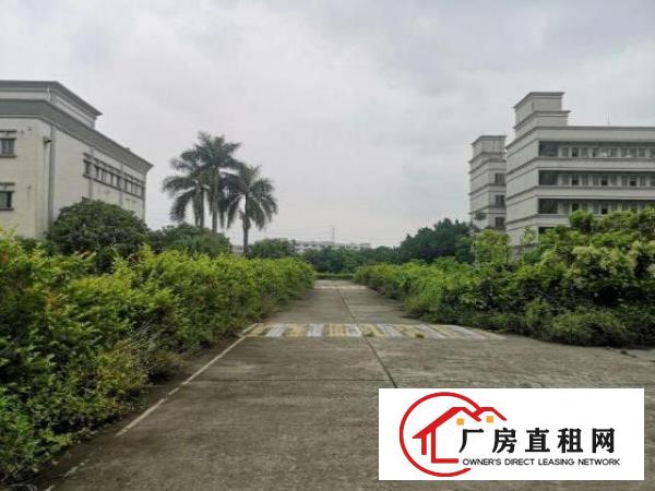  桥头镇新出原房东独院标准厂房出租