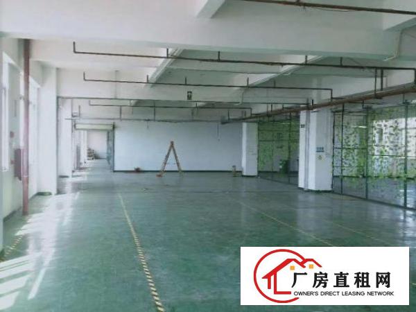  桥头镇新出原房东独院标准厂房出租