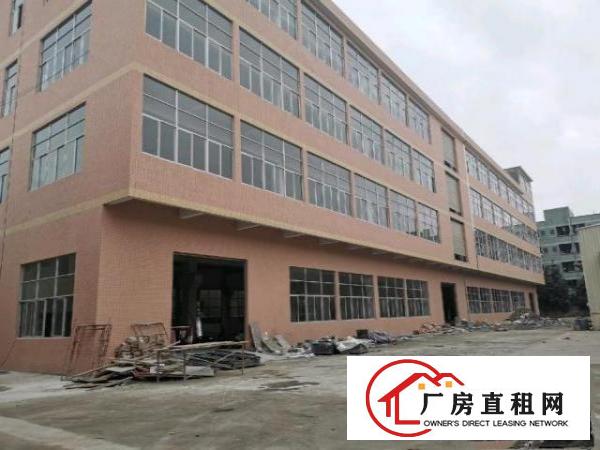  原房东全新厂房无公摊出租