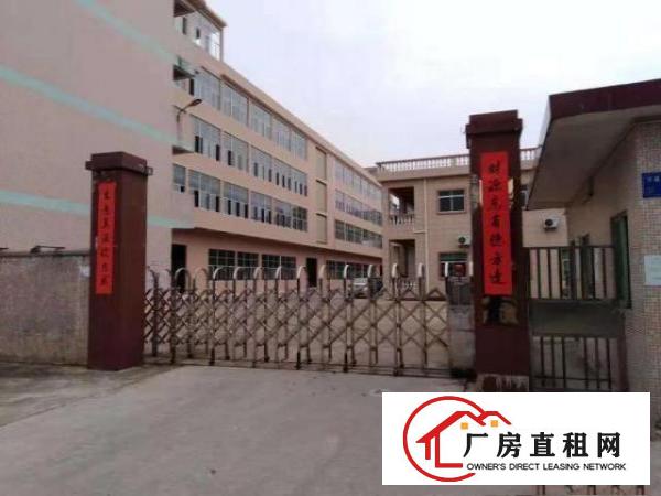  东莞桥头全新带办公楼地坪漆厂房