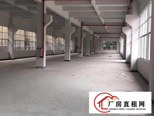  东莞桥头全新带办公楼地坪漆厂房