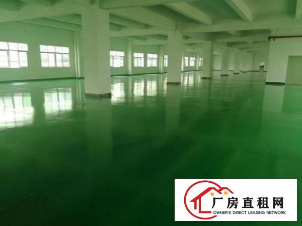  东莞桥头全新带办公楼地坪漆厂房