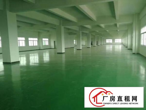  东莞桥头全新带办公楼地坪漆厂房