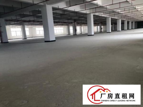 实业客户分租一层厂房1800平方，不赚房租和水电费用！