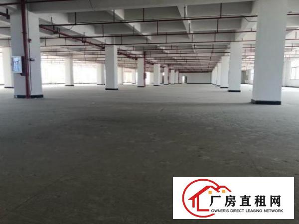  实业客户分租一层厂房1800平方，不赚房租和水电费用！