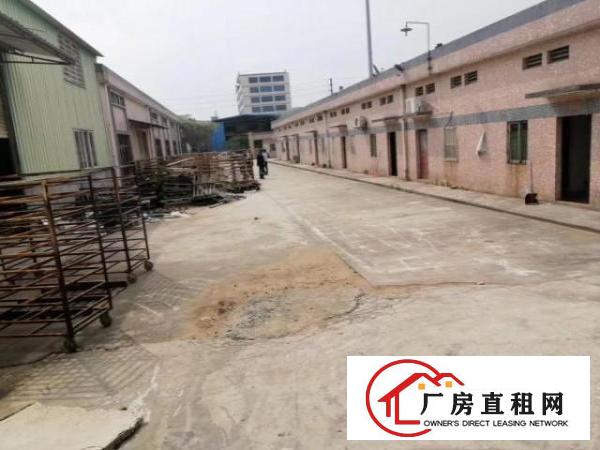  一手房东砖墙到顶滴水7米单一层直接出租，没有中间商赚差价！