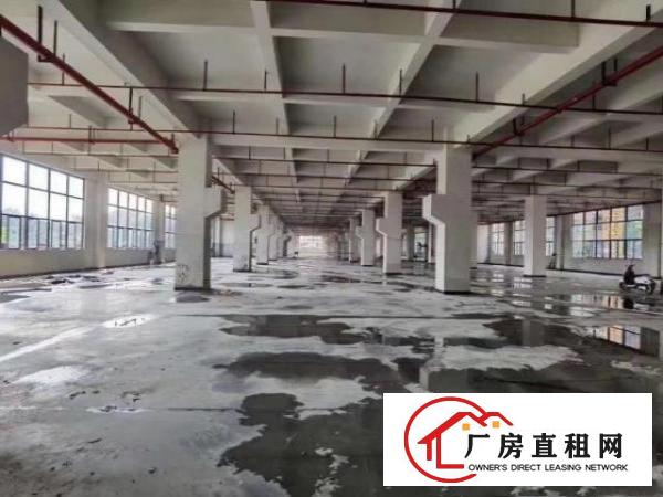  桥头镇大型工业园区全新厂房带红本，卸货平台，消防喷淋，