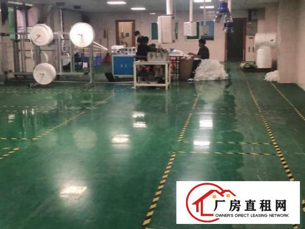  全新厂房出租，1500～2500平可分租