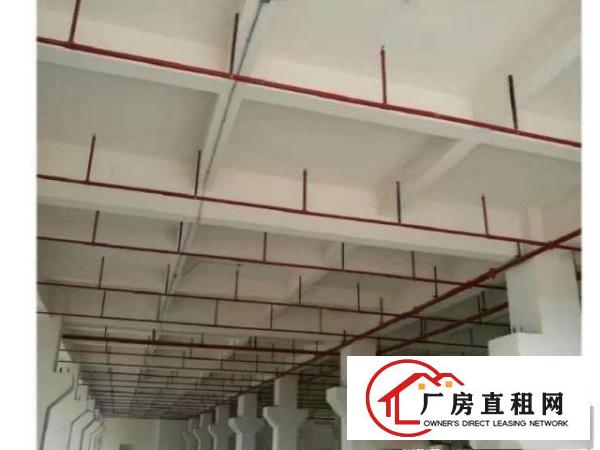  原东厂房，大小可分租，国土证，消防，环评