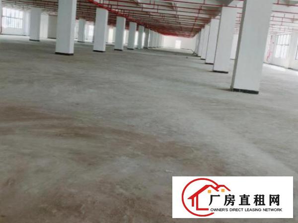  原东厂房，大小可分租，国土证，消防，环评