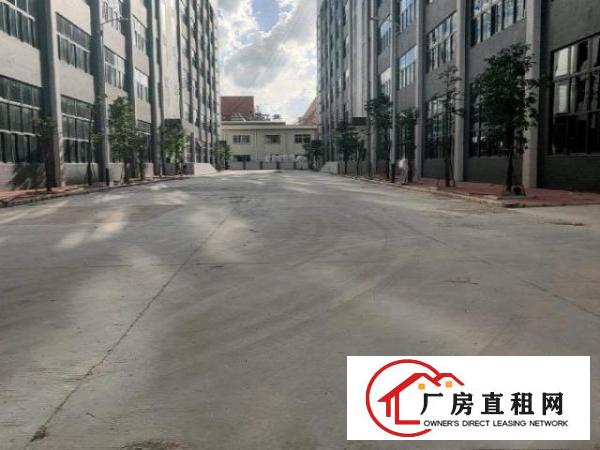  原东厂房，大小可分租，国土证，消防，环评