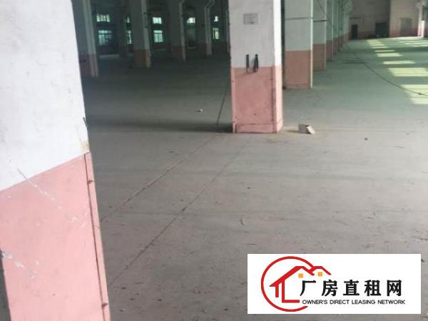  石排镇新出酸洗工业厂房450平方起，小面积带牌照招租