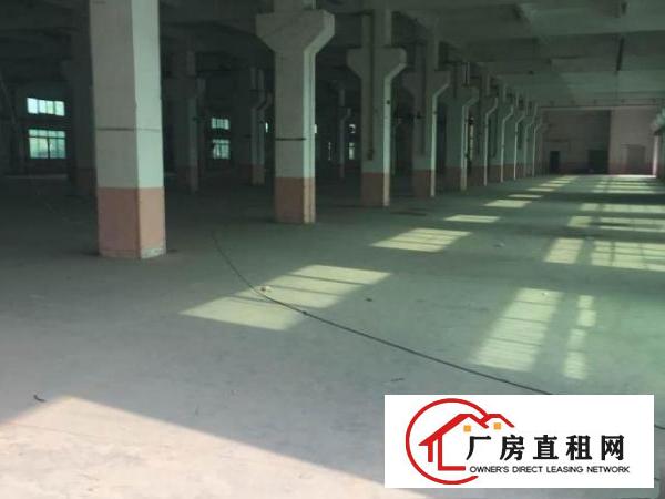  石排镇新出酸洗工业厂房450平方起，小面积带牌照招租