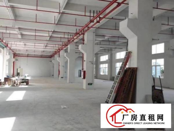  桥头镇独院全新标准厂房出租！1一5楼共7500平方米。