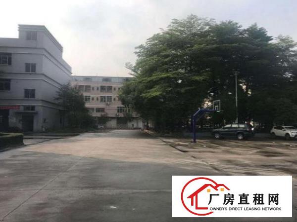  原房东直租实际面积23000平，形象好，价格优，空地大