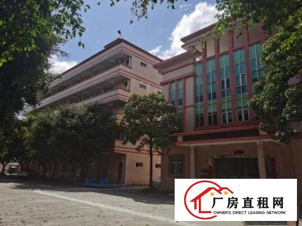  桥头镇原房东带红本独院厂房总面积11500平