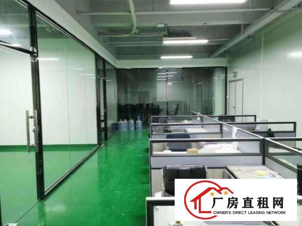  桥头镇原房东带红本独院厂房总面积11500平