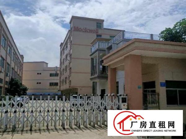  桥头镇带红本独院厂房6663平带装修