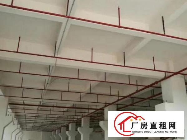  原房东厂房出租，红本双证，可办环评