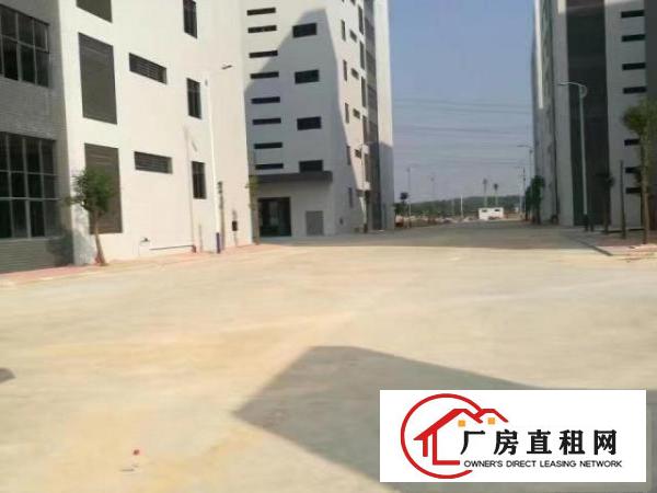  原房东厂房出租，红本双证，可办环评