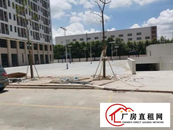  原房东厂房出租，红本双证，可办环评