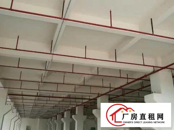  原房东厂房出租，红本双证，可办环评