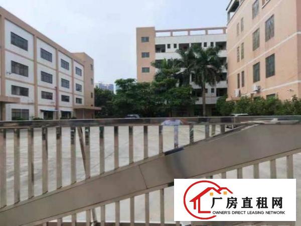  桥头原房东标准独院一楼6.5米高现成水电