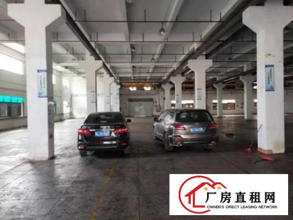  桥头原房东标准独院一楼6.5米高现成水电