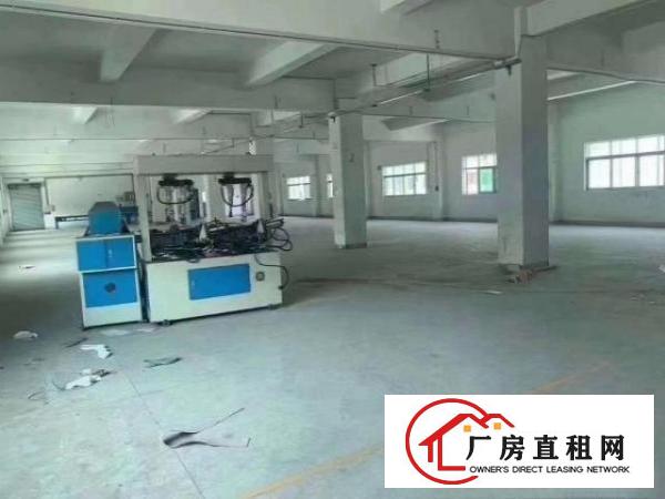  新出独院厂房，位置交通便利，形象完好