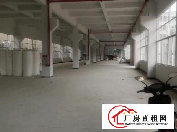 桥头工业区全新厂房招租