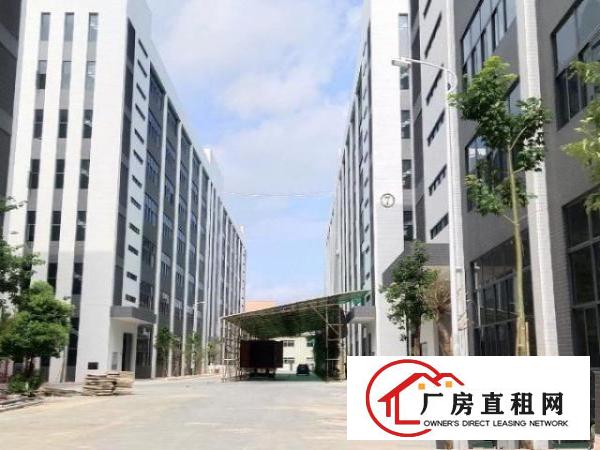  桥头新出形象好，独院厂房