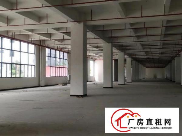  桥头新出形象好，独院厂房