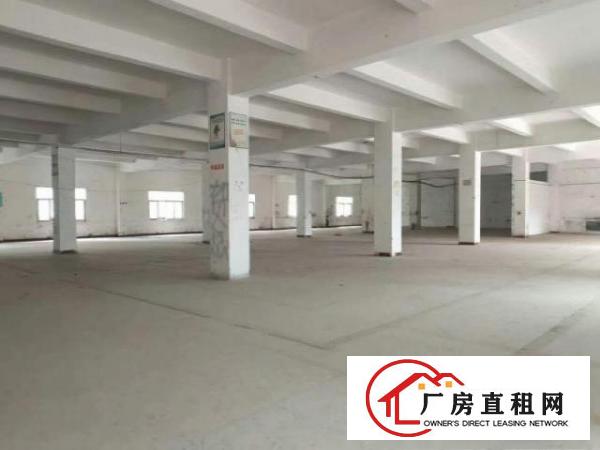  桥头新出形象好，独院厂房